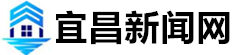 新闻网
